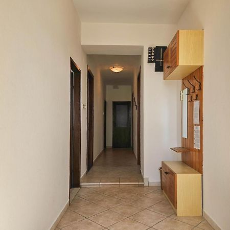 Stelia F. Apartment Novigrad  Exterior photo