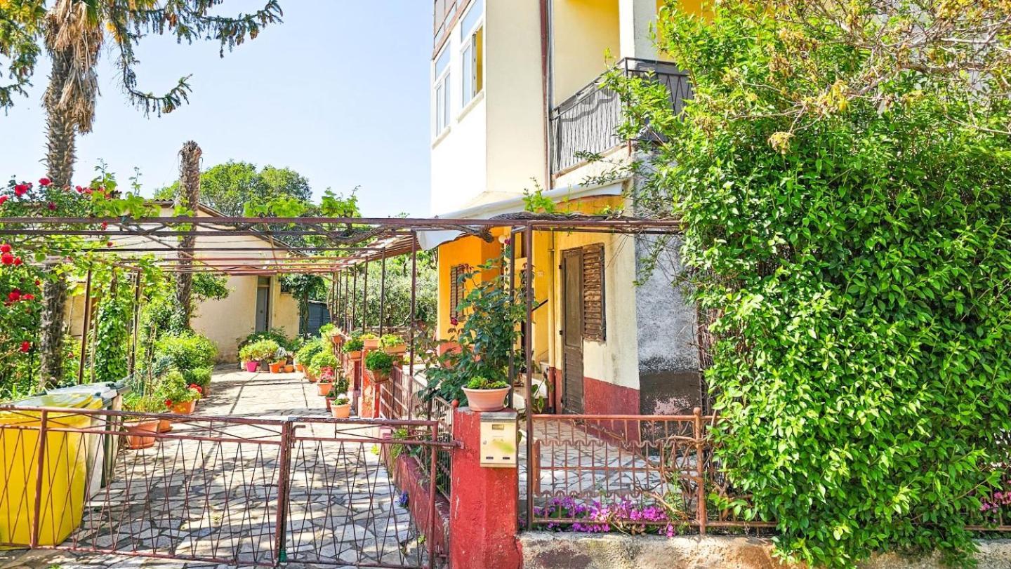 Stelia F. Apartment Novigrad  Exterior photo